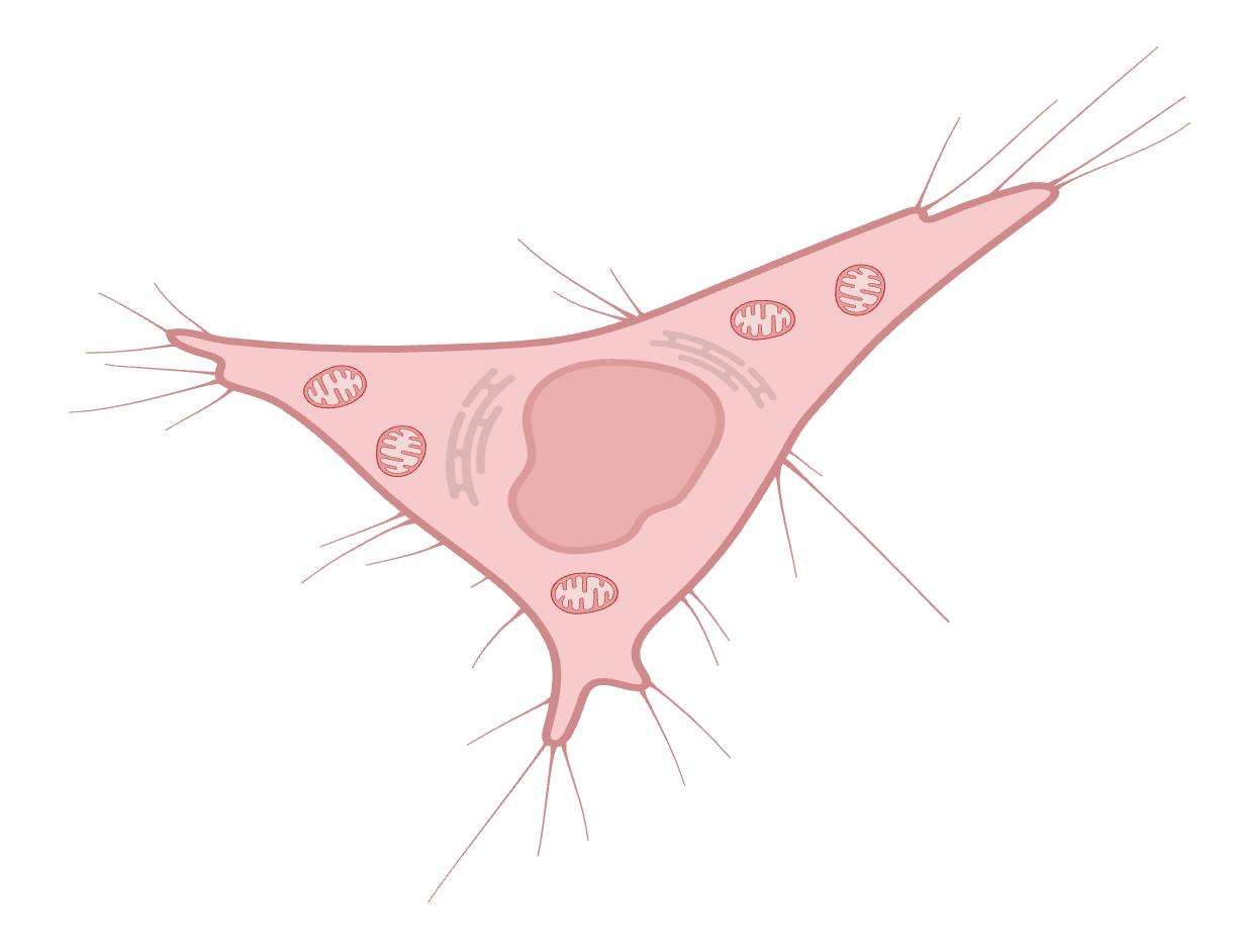 Statistics Image