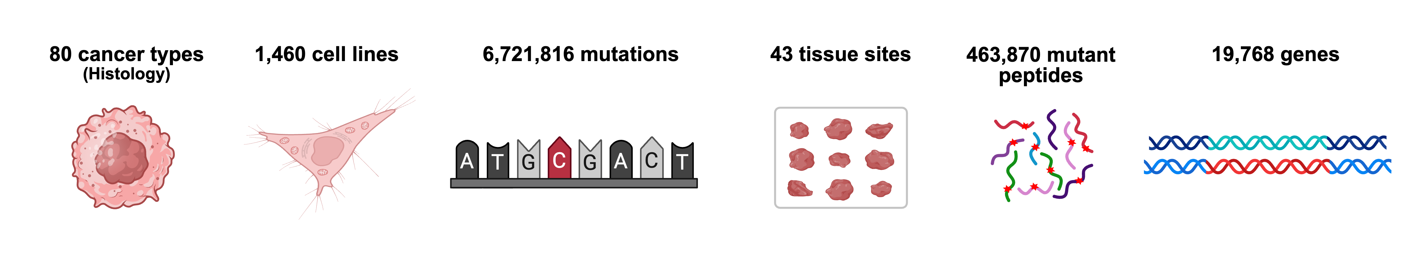CAN-IMMUNE Database Statistics Overview